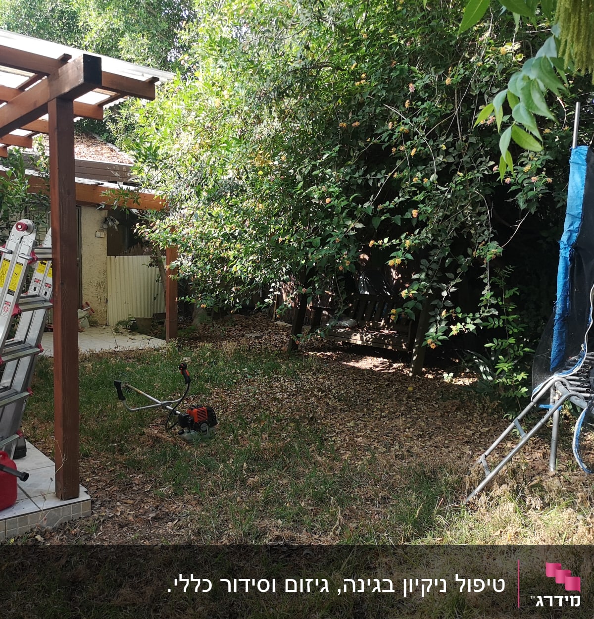 כלי גינון, סולם, גוזם דשא, גינה עם עצים